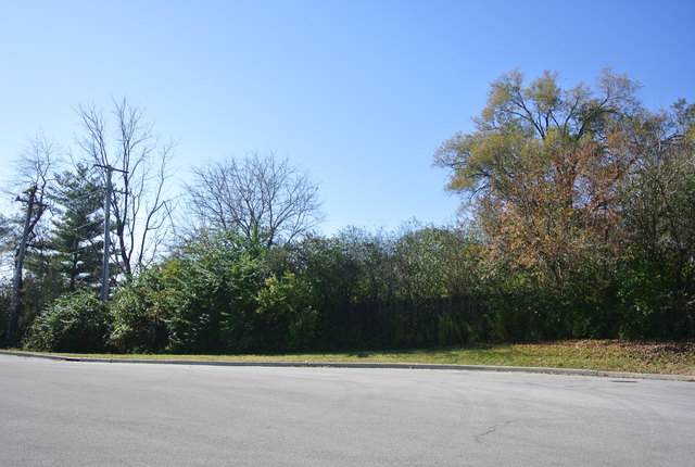 3S729 lot 23 West Avenue - Photo 1