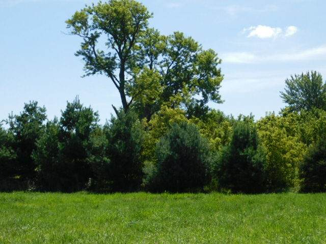 6/7/8 Paw Paw Road - Photo 1 6/7/8 Paw Paw Road - Photo 1