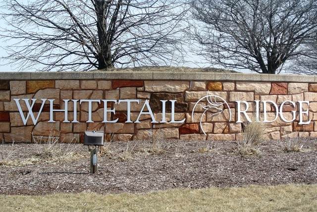 5537 Whitetail Ridge Drive - Photo 1