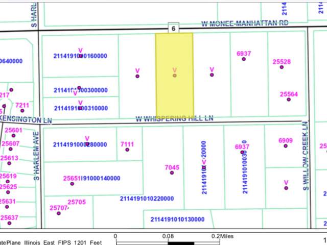 Lot 4 Monee-Manhattan Road - Photo 1
