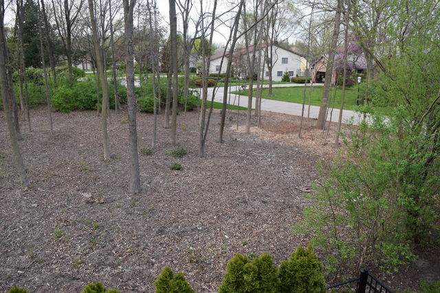 1150 Highland Avenue - Photo 1