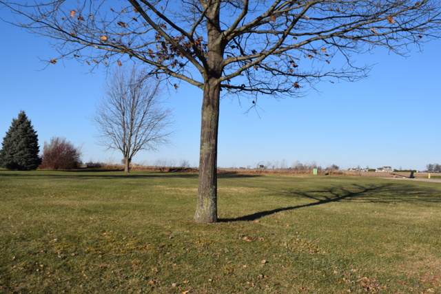 1123 Whitetail Lane - Photo 1