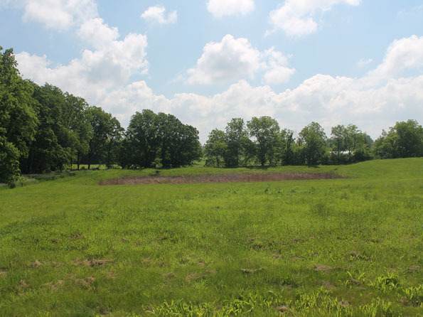 LOT 4 Bowgren Circle - Photo 1