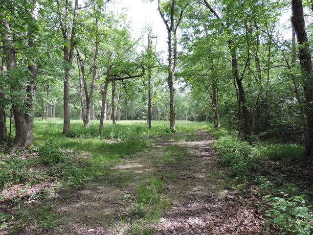 1725 Trillium Lane - Photo 1