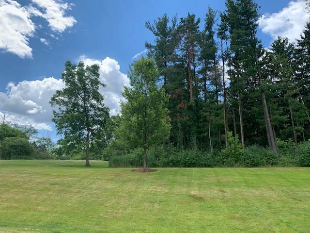 100 Oak Leaf Lane - Photo 1