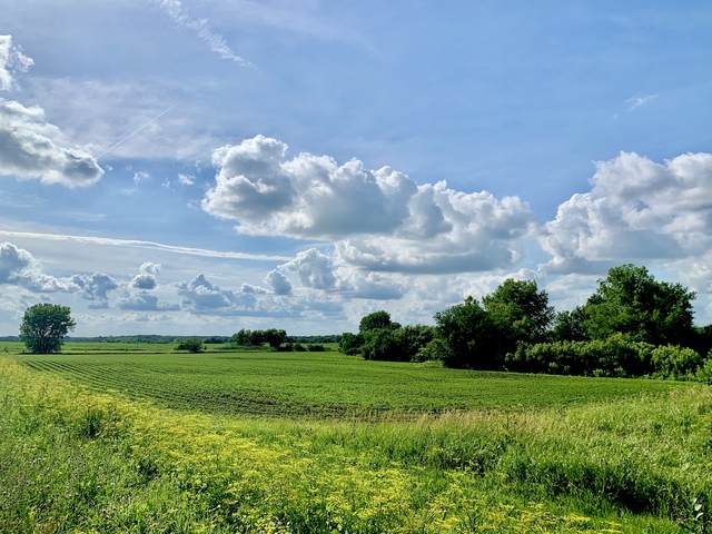 0 W1/2 NW1/4 3350 Road - Photo 1