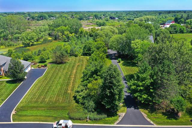 6864 Ellis Drive - Photo 1