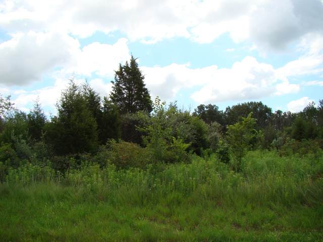 2842 Whispering Hills Drive - Photo 1