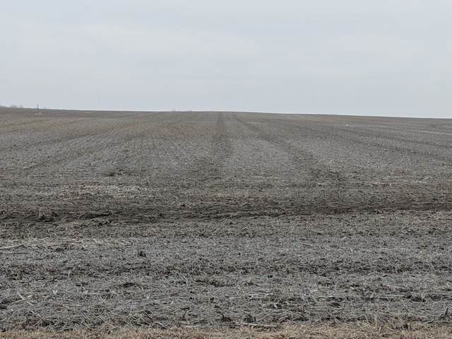 0 S Western Avenue - Photo 1