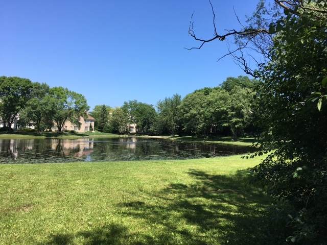 LOT 50 Kajer Lane - Photo 1
