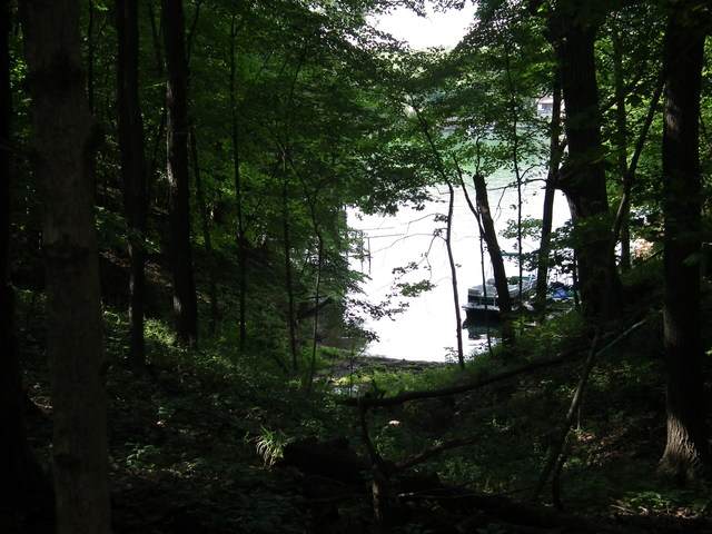 149-1/2 Lake Thunderbird Drive - Photo 1