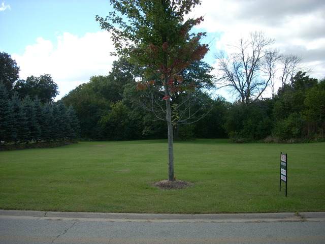 000 Skender Court - Photo 1