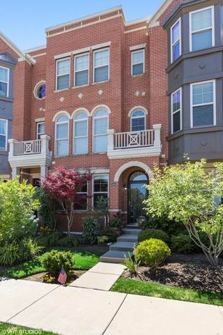 8642 Narragansett Avenue - Photo 1