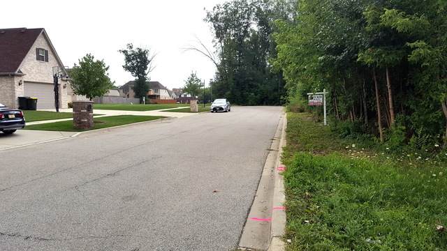 LOT 15 Pine Lane - Photo 1