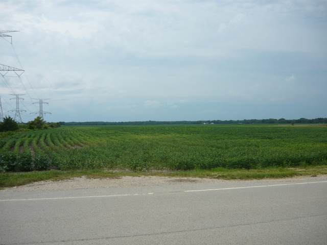 1065 Lot 1 Gorman Road - Photo 1