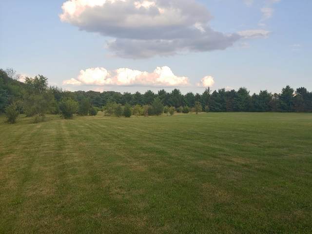 20407 Delks Drive - Photo 1