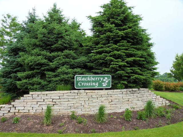 Lot 6 Blackberry Crossing Circle - Photo 1