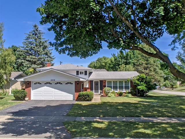 2019 Burke Drive - Photo 1
