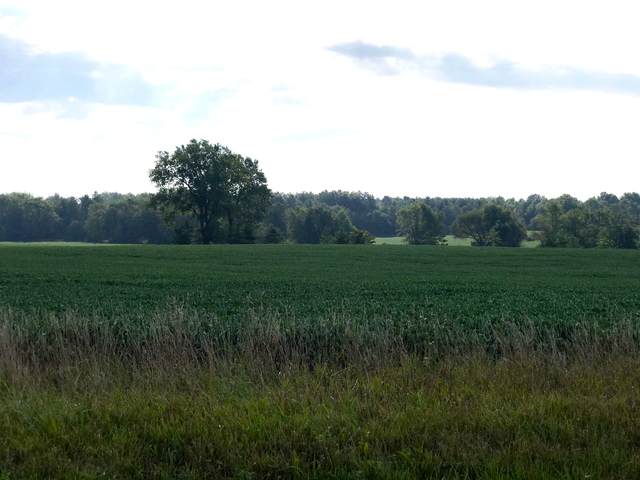 Lot 8 80th Avenue - Photo 1