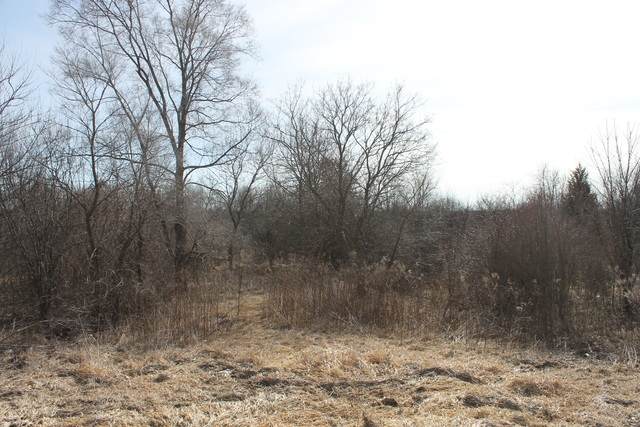 0 Fabyan Parkway - Photo 1