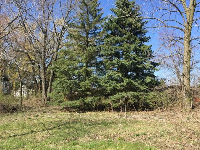 25216 Harlem Avenue - Photo 1