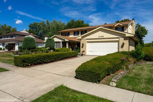 6709 Sheffield Lane - Photo 1