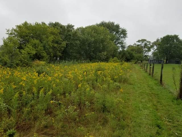 117 Raffel Road - Photo 1