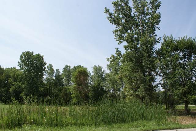 14495 Jody Lane - Photo 1