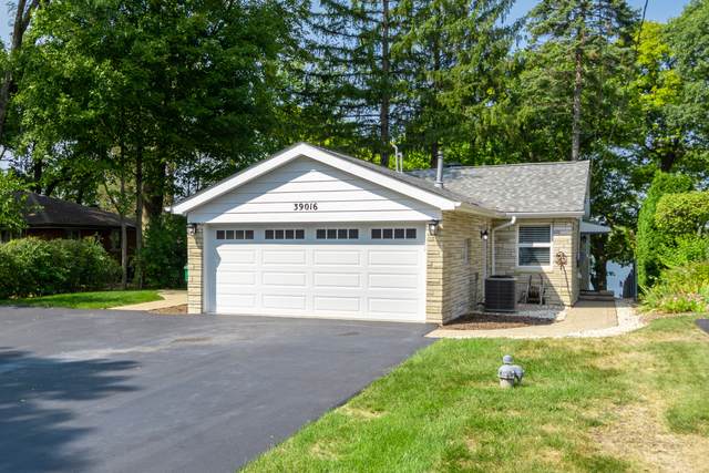 39016 Cedar Crest Drive - Photo 1