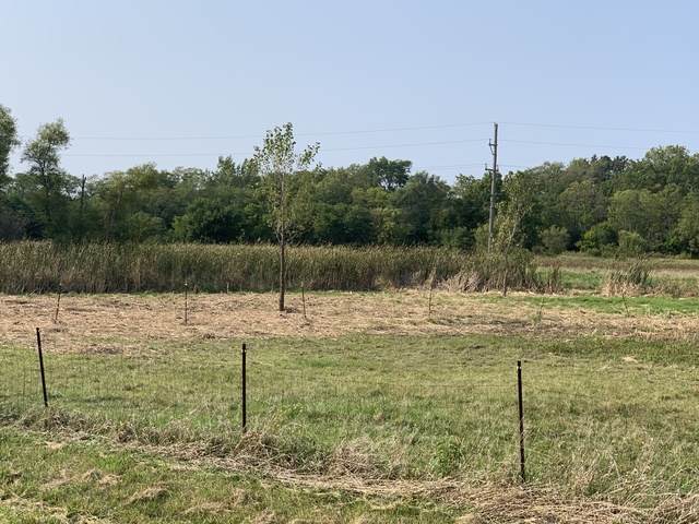 3747 Pinewood Drive - Photo 1