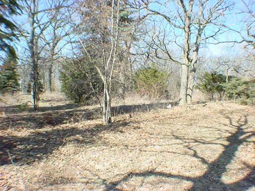 25W500 Royce Road - Photo 1
