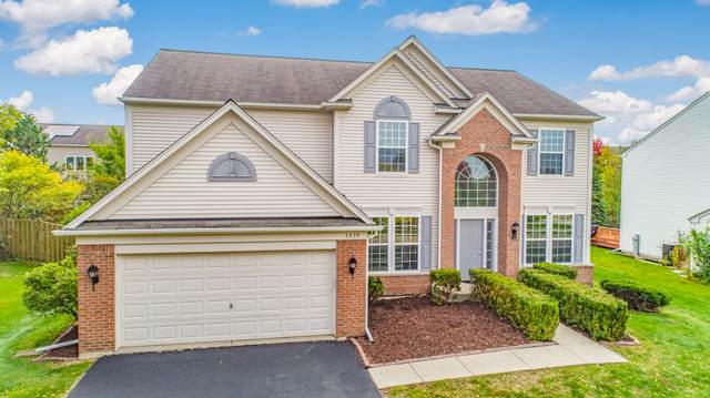 1579 Firethorn Street - Photo 1