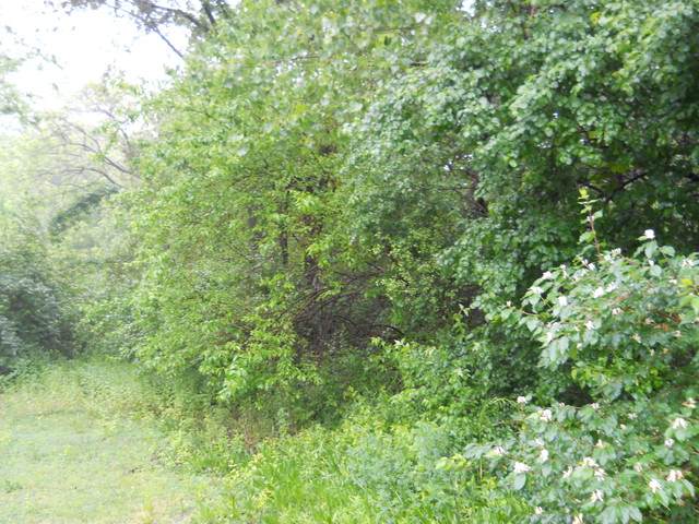 11 Oakwood Estates - Photo 1