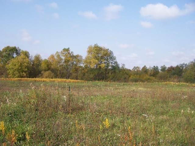 1428 Lilac Lane - Photo 1
