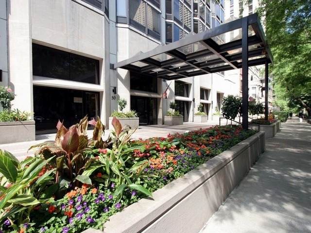 50 Bellevue Place - Photo 1