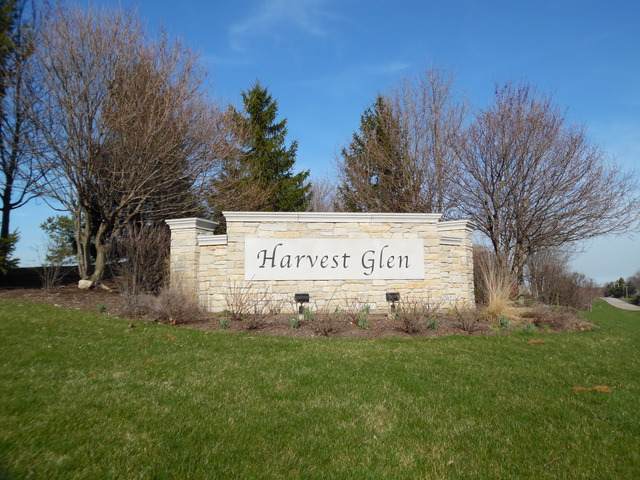 28698 Harvest Glen Circle - Photo 1