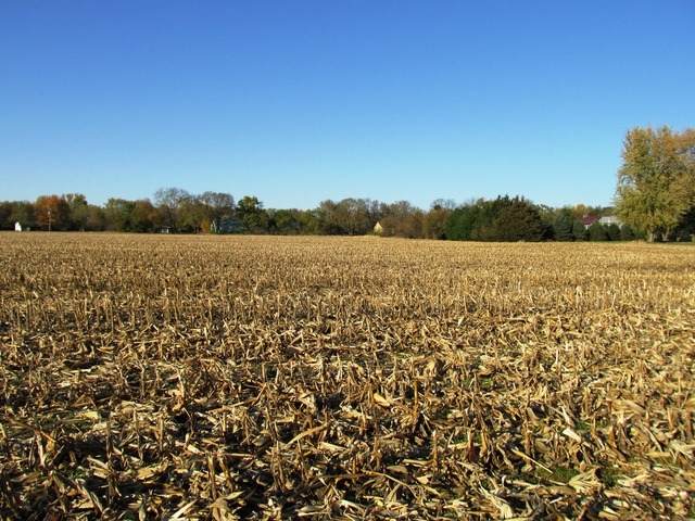 000 Wadsworth Way - Photo 1