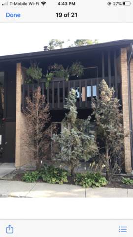 6147 Knoll Wood Court - Photo 1
