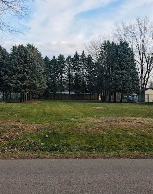 1782 Suzy Street - Photo 1