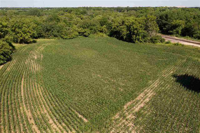 000 Royster Lane - Photo 1
