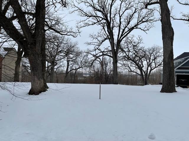 12320 Oakcrest Drive - Photo 1