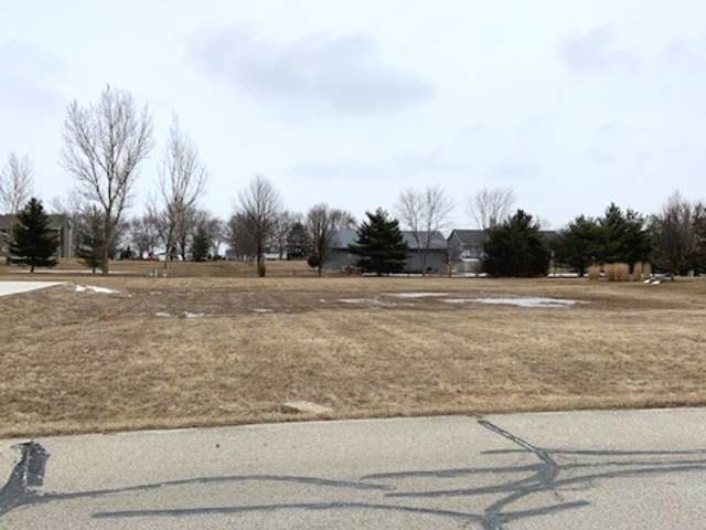 2817 Ninovan Lane - Photo 1