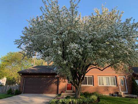 966 Marbilynn Drive - Photo 1