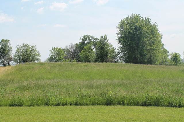11302 Brighton Oaks Drive - Photo 1