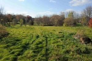 181 F Old Sutton Road - Photo 1