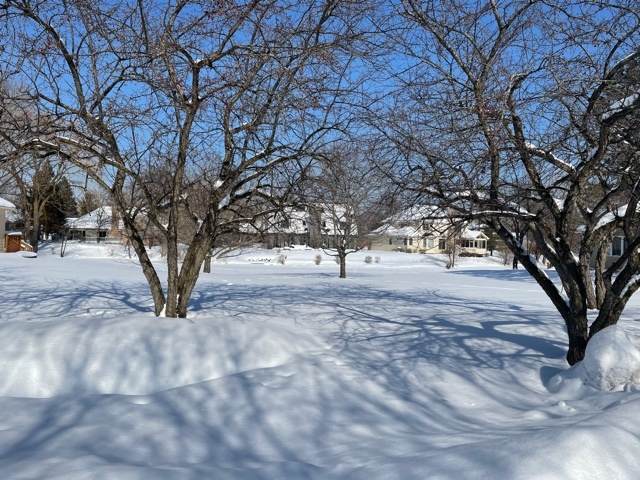 4619 Forest Edge Lane - Photo 1