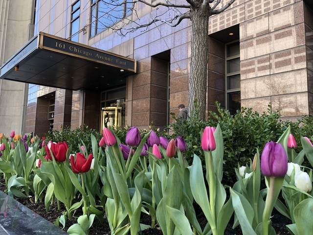 161 Chicago Avenue - Photo 1