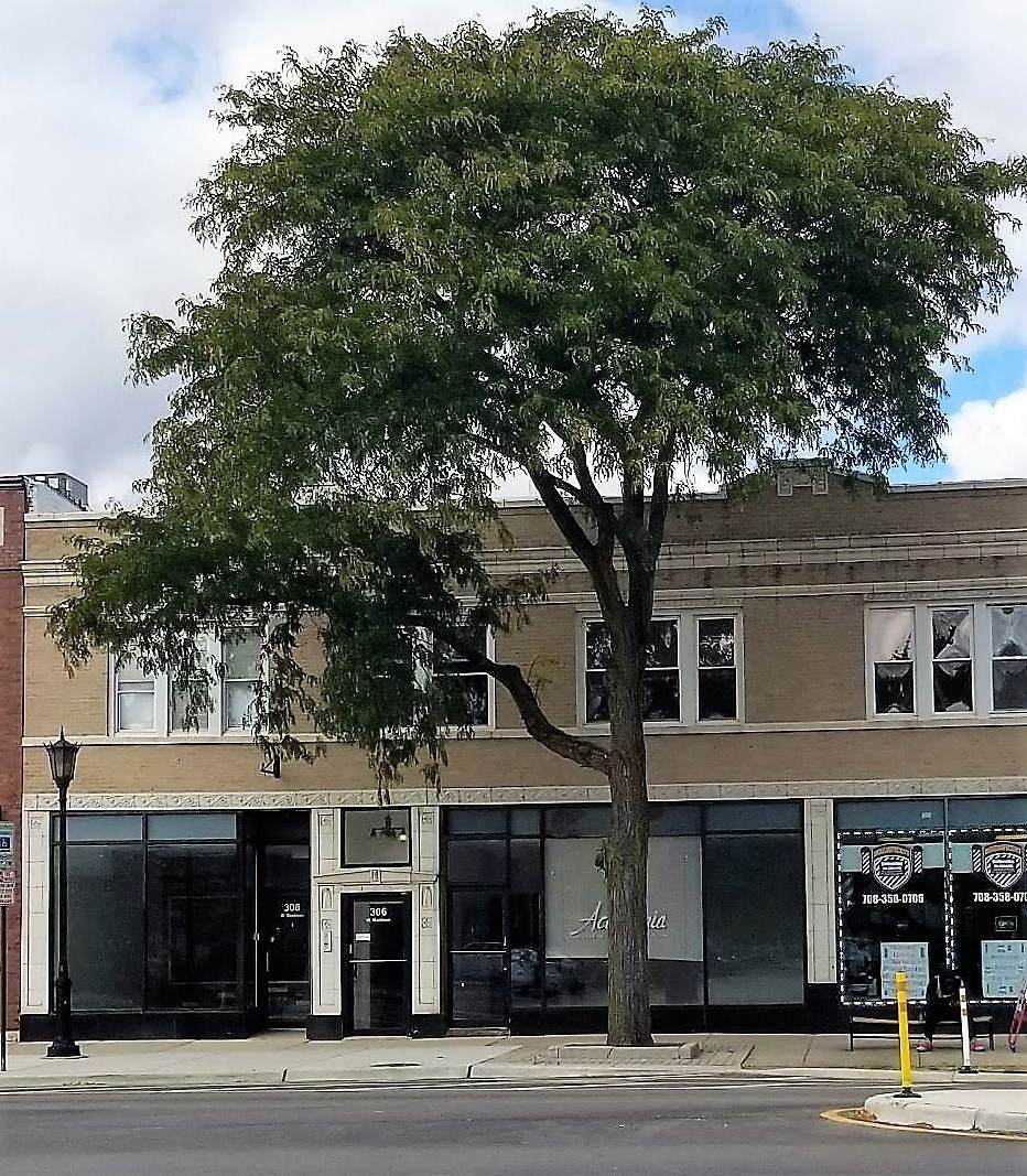 308 Madison Street - Photo 1