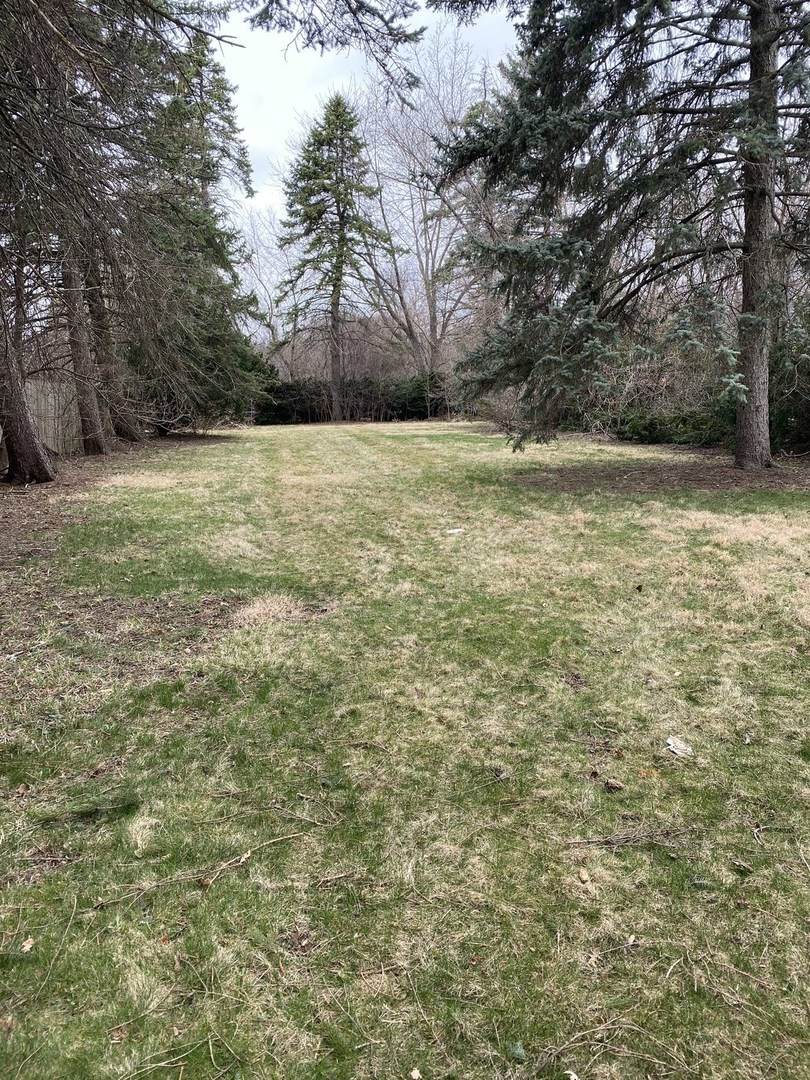 1522 Euclid Avenue - Photo 1