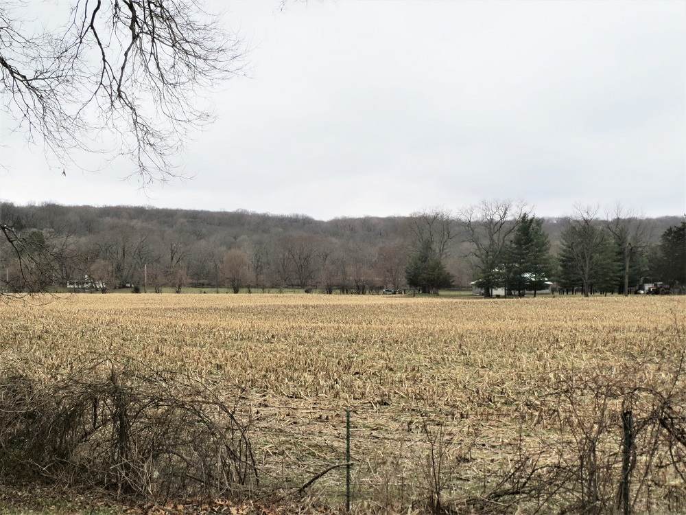 801 Colony Road - Photo 1